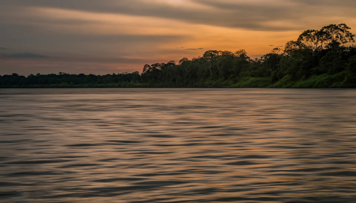 amazonas-observacion-2