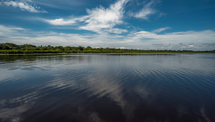 amazonas-observacion-6