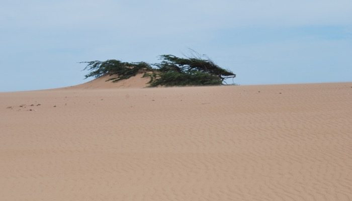 guajira-natural-6