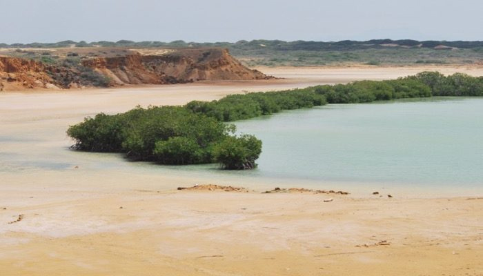 guajira-natural-7