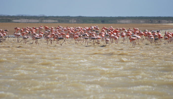 guajira-y-cerrejon-5